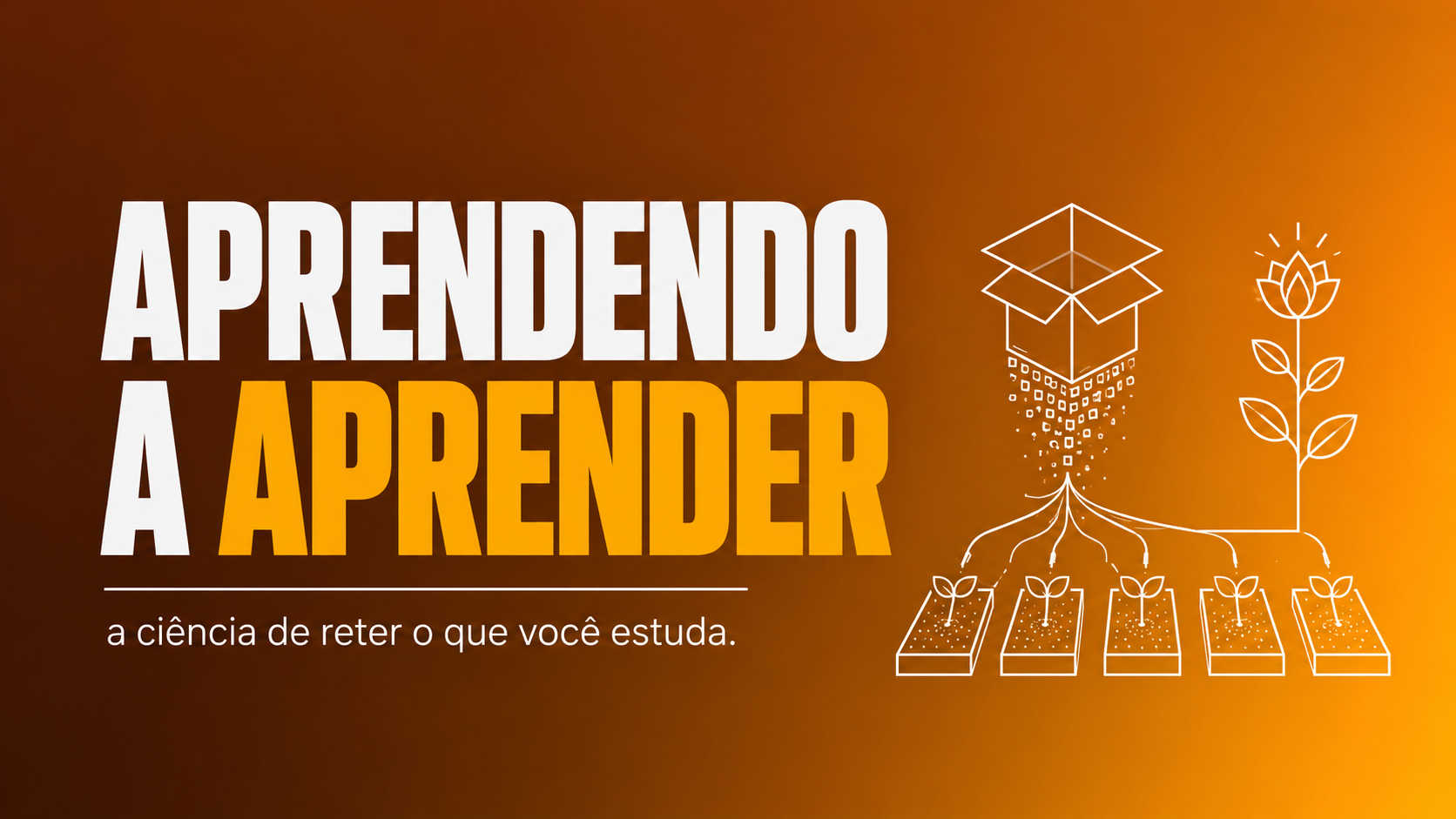 Aprendendo a Aprender: A Ciência de Reter o que Você Estuda